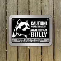 American Bully