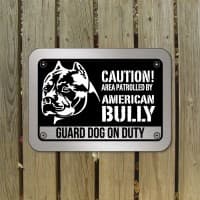 American Bully