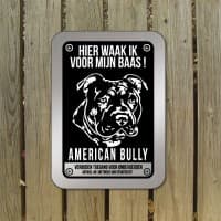 American Bully