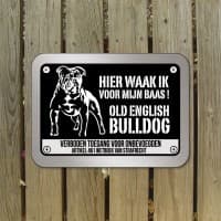 Old English bulldog