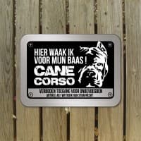 Cane Corso D4