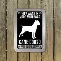 Cane Corso