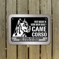 Cane Corso