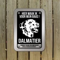 Dalmatier