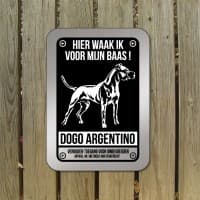 Dogo Argentino