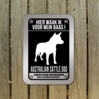 Australian Cattle Dog