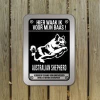 Australian Shepherd
