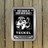 Teckel korthaar of Dashund