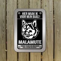 Malamute
