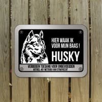 Siberische husky