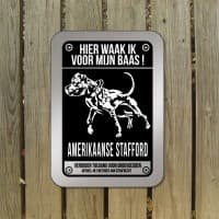 Amerikaanse Staffordshire Terrier