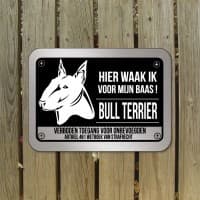 Bull Terrier