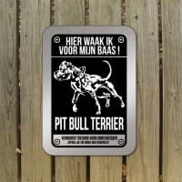 Pit Bull terrier