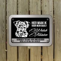 Welsh Terrier