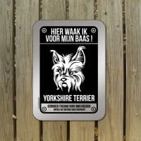 Yorkshire Terrier