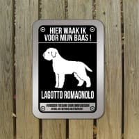 Lagotto Romagnolo