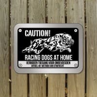 Whippet of Greyhound Racing Dogs