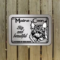 Main Coon