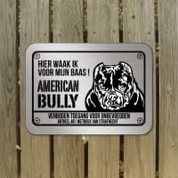 American Bully