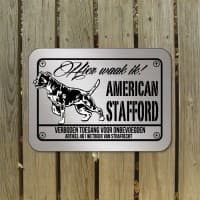 American Staffordshire Terrier