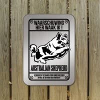 Australian shepherd zilver