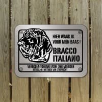 Bracco Italiano