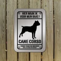 Cane Corso