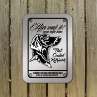Flat Coated Retriever