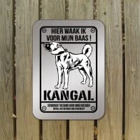 Kangal zilver