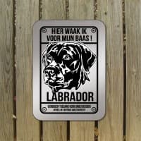 Labrador