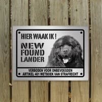 Newfoundlander D2