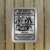 Nova Scotia Duck Tolling retriever