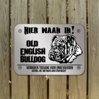 Old English Bulldog