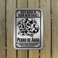 Perro di Aqua waterhond