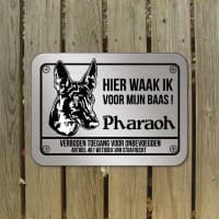 Pharaoh