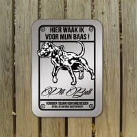 Pit Bull