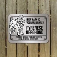 Pyrenese Berghond