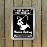 Franse Bulldog