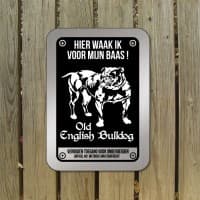 Old English Bulldog