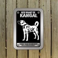 Kangal