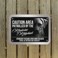 Rhodesian Ridgeback D4