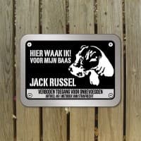 jack russel