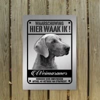 Weimaraner RVS LOOK